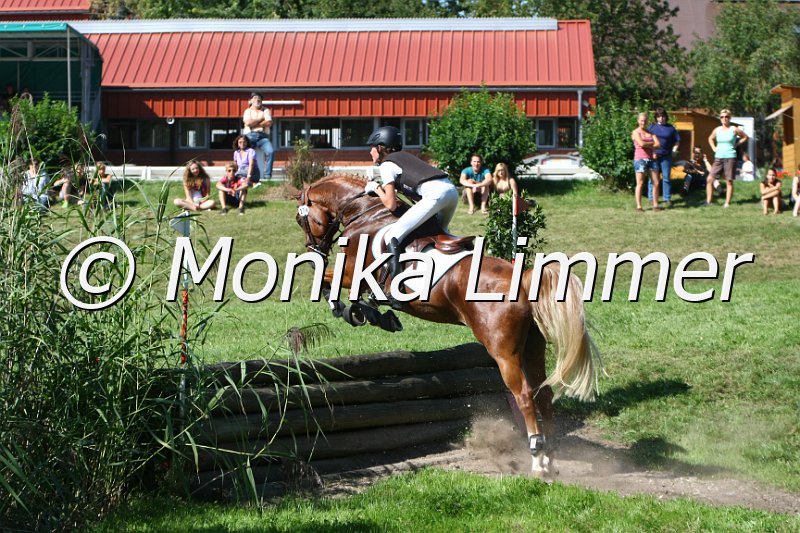 109M7610_maddock_Ponystilgelaende E.JPG